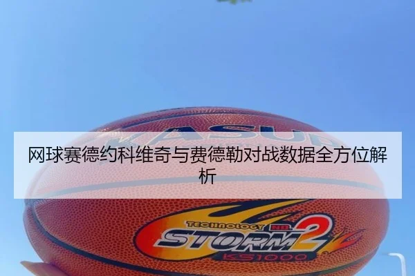 网球赛德约科维奇与费德勒对战数据全方位解析